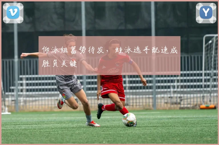 仰泳组蓄势待发，蛙泳选手配速成胜负关键