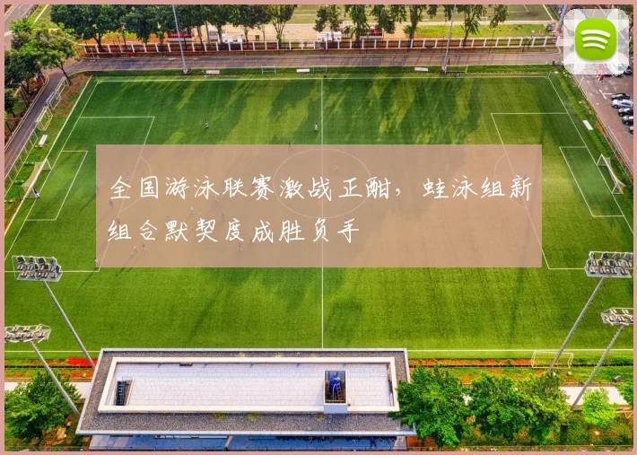 全国游泳联赛激战正酣，蛙泳组新组合默契度成胜负手